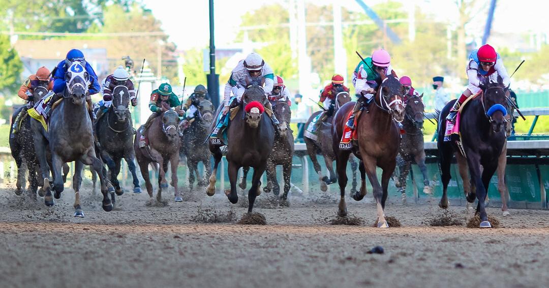 Meet The Field | A glance at the colts who have qualified for the Kentucky Derby