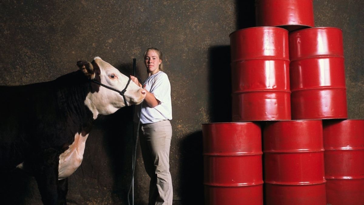 The End of Cheap Oil