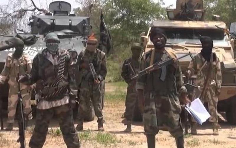 Currency Redesign: ISWAP Opts for CFA, Bans Farmers, Fishermen in Lake Chad from Using Naira