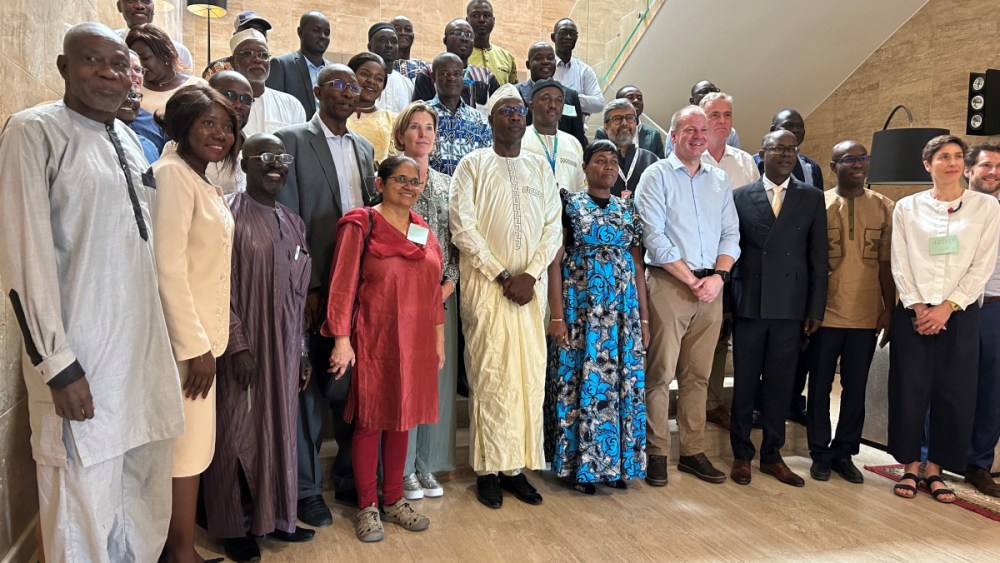 Better Cotton Eyes Opportunities in Chad