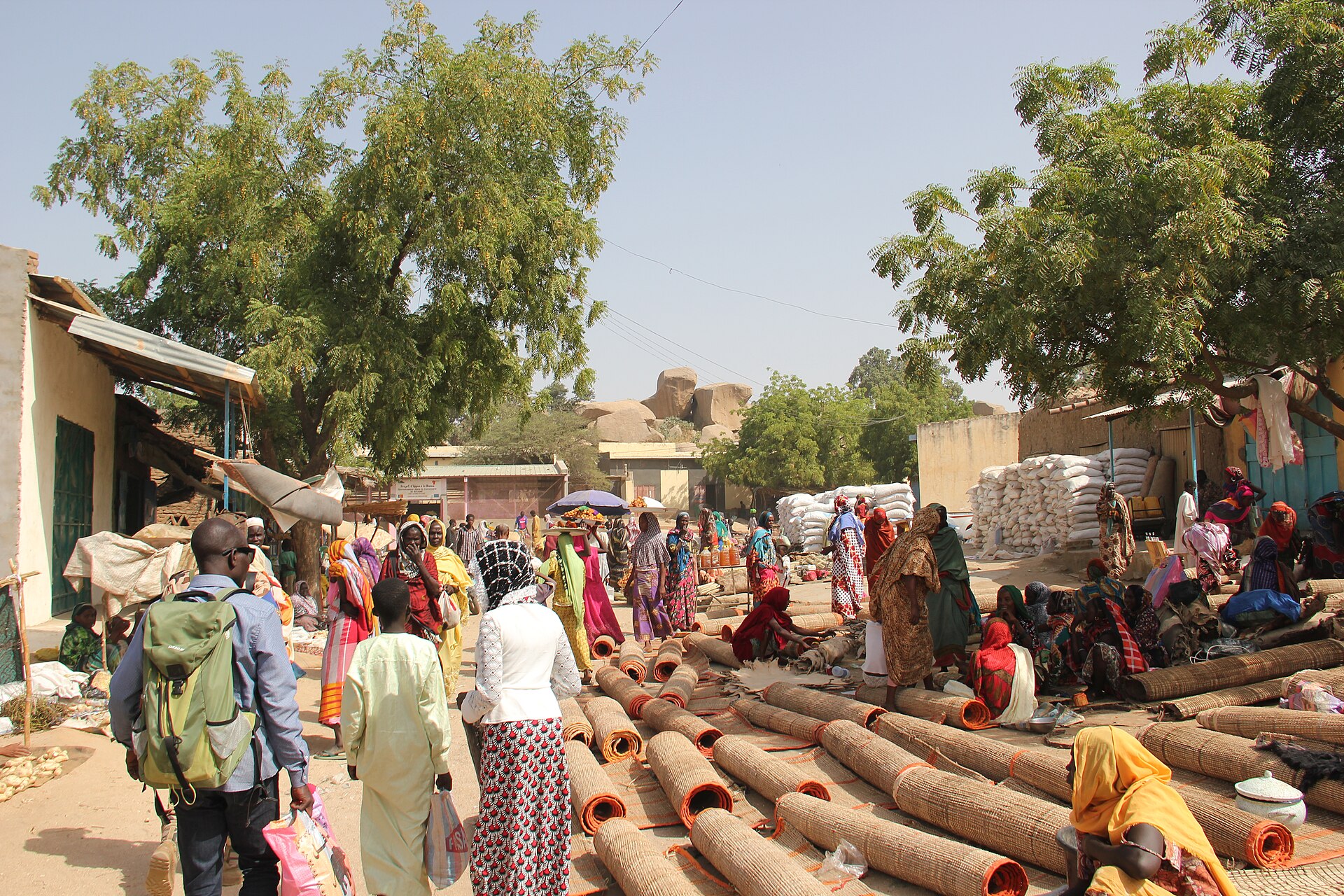 Chad&rsquo;s Economy Hinges on Oil and a Delayed IMF Loan